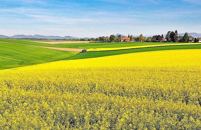 Holiday Home in Löderup - Foto 2