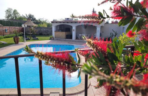 Le gite de lOlivier en Provence - Foto 14