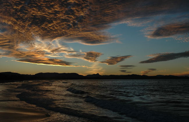 Gecko Shed - Foto 17