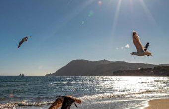 T2 MODERNE VUE MER LES SABLETTES CLIM- WiFi- PARKING - Foto 1