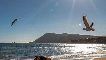 T2 MODERNE VUE MER LES SABLETTES CLIM- WiFi- PARKING - Foto 1