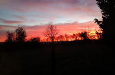 Pen-Rhos luxury glamping "Cuckoo's Nest" - Photo 13