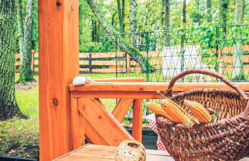 Holiday Home Gietrzwald Sila Ii - Foto 11