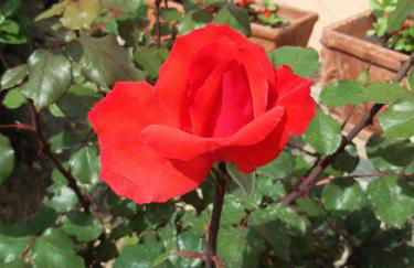 La casa del Maestro - Foto 58