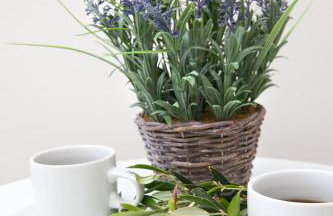 Nammos Sunset - Photo 15