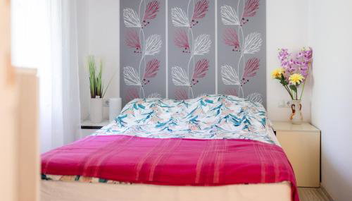 Apartman Milka - Foto 3