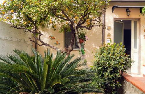 Nel giardino di Nunziatina - Photo 20