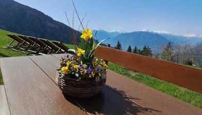 Unterkirnhof - Foto 4