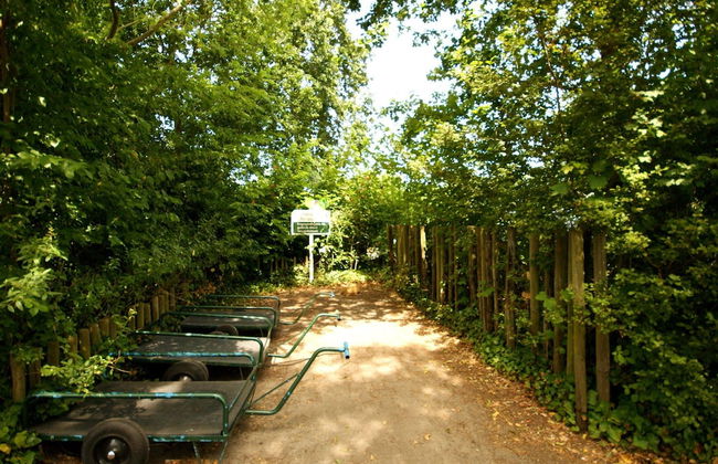 Nice Holiday Home for 5 People, Within Walking Distance of the Beach - Photo 8