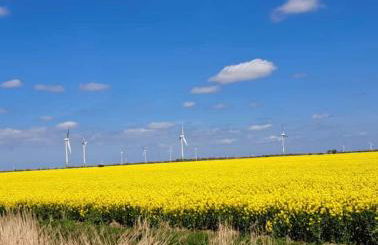 Barrierefreie Ferienwohnung Abendrot in Pewsum - Foto 23