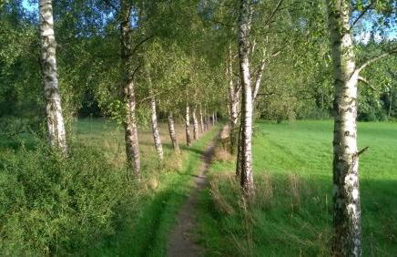 Schillerstüble - Foto 16