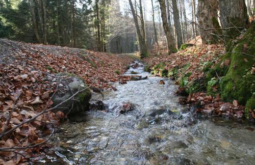 EM Livigno - Foto 19