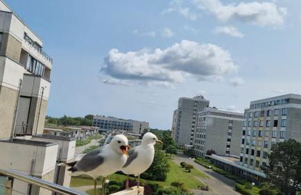 Optimist Sunlife Ostsee - Foto 36