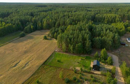 Bory Za Płotem - Foto 28