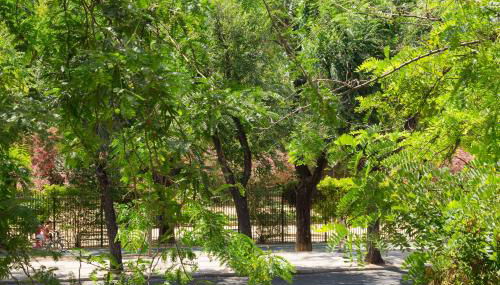 Veoapartment Jardines Murillo - Foto 3