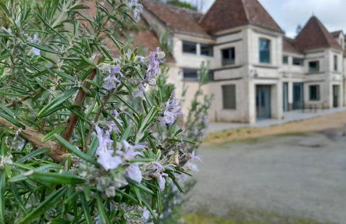 Hôtel des arts - Gîte Littérature dans le Perche - Foto 6