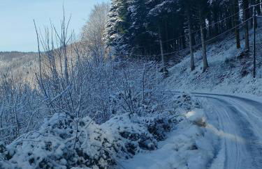 home edwige - Foto 20