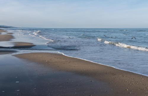 Conchiglia int3 Silvi Vacanza - Foto 11