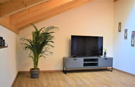 Ferienwohnungen Rosenheim - Pang - Foto 17