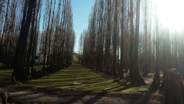 Bosco di Jáchal
