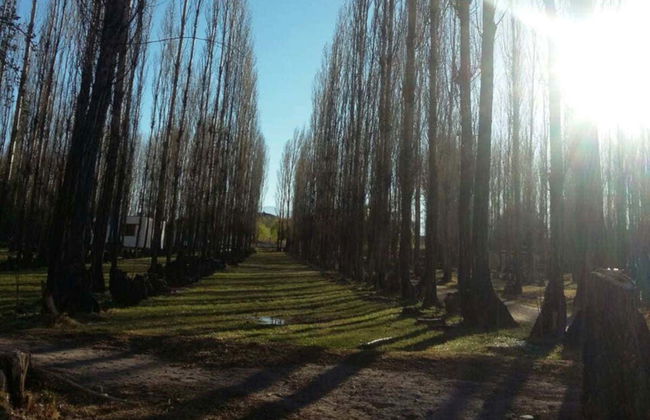 Escursione a Jáchal, Rodeo e Pismanta - Foto 5