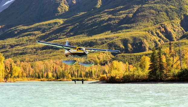 Clark Lake Plane Trip from Kenai + Bear Watching - Foto 3