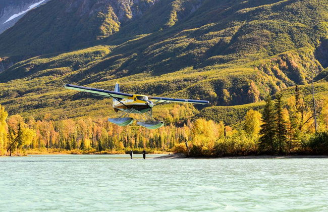 Escursione in aeroplano a Lake Clark + Avvistamento di orsi - Foto 3