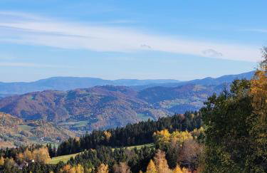 Domek na Kleninie z gorącą balią - Photo 42