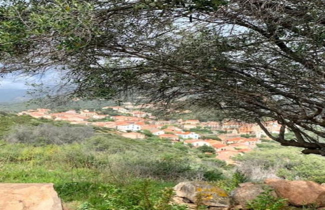 Cosy Holiday Home in Cargese Corse-du-sud Near Sea - Foto 77