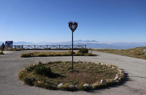 Lupus Domum - Foto 6