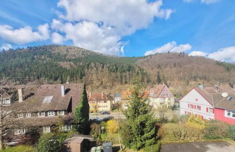 Willkommen im Nordschwarzwald - Foto 22