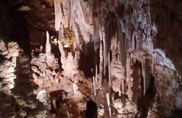 Gites l’Olivier avec piscine - Foto 29