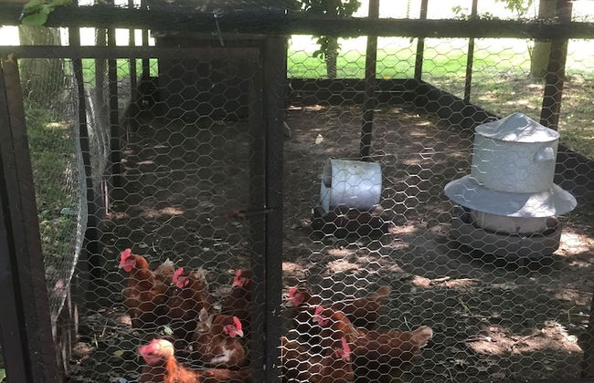 Dawn Chorus Holidays - Foto 57