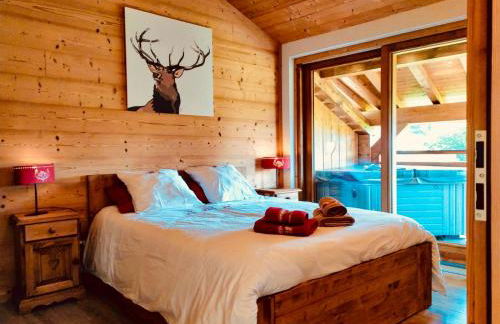 Le Chalet Du Pic SPA privé & Fitness - Foto 1