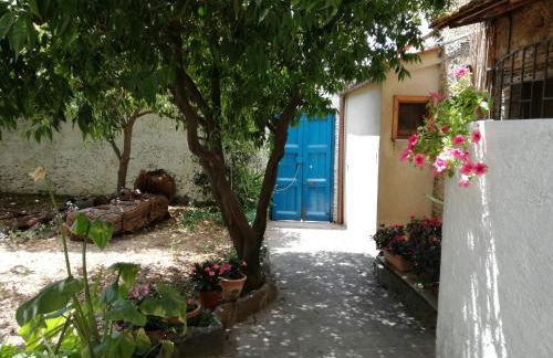 Gigia's House - Photo 18