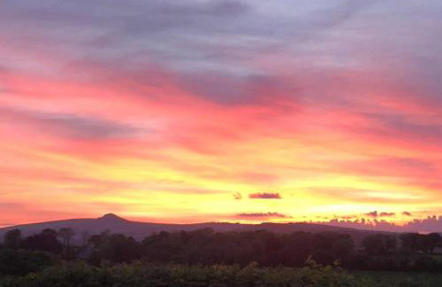 Stable End - Photo 17