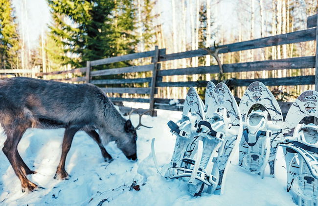 Valkeisen Loma - Foto 59