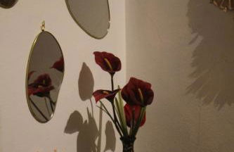 Miguas House - Foto 13