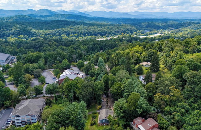 Asheville Sunset 10min to Asheville + Ping Pong - Foto 44