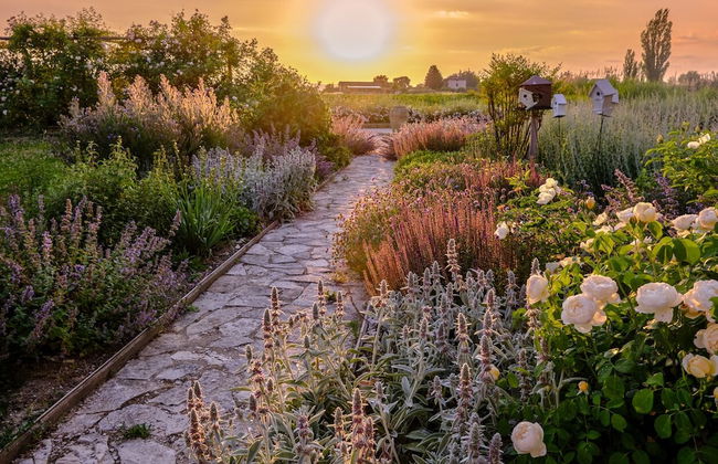 Il Fienile di Assisi - Foto 79