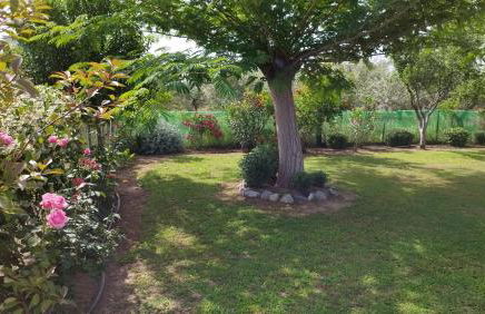 Meteora countryside villa - Foto 44