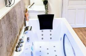 T3 Nature et Balnéothérapie - Photo 8