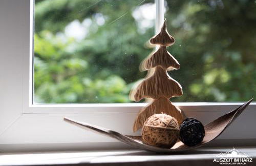 Auszeit-im-Harz Haus 2 Wohnung 1 - Foto 29