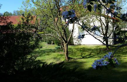 Wald&Wiesengeflüster Zechlinerhütte - Foto 15