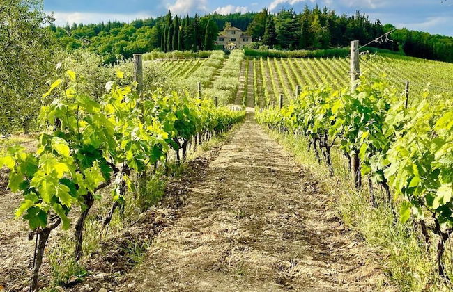 Borgo Livernano - Foto 66