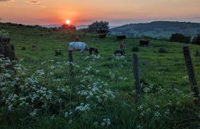 Lane End Cottage Holmfirth - Private Luxurious - 2 Ensuites, Gated Parking, Patio & Garden with Exceptional Views - Foto 44