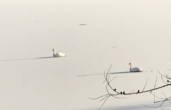 The Old Scout Hall - Foto 18