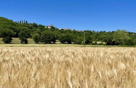 Casa fiordaliso - Foto 34