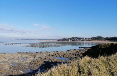 Maison située entre plage la mine d'or et bourg - Foto 13