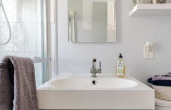 Corporate insurance or family vacation in Wolverine lake - Foto 22